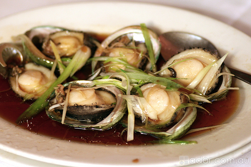 Bào ngư